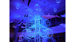 AQUA XMAS2014